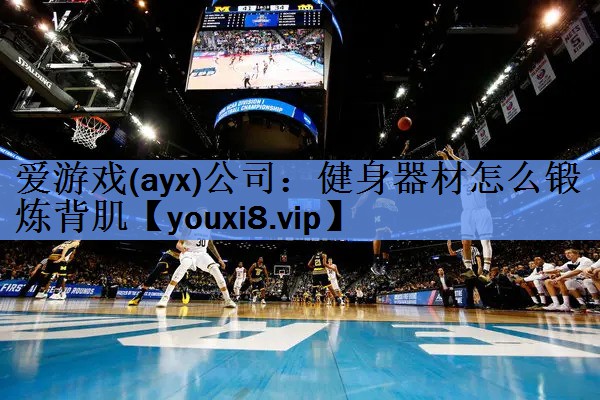 爱游戏(ayx)公司：健身器材怎么锻炼背肌