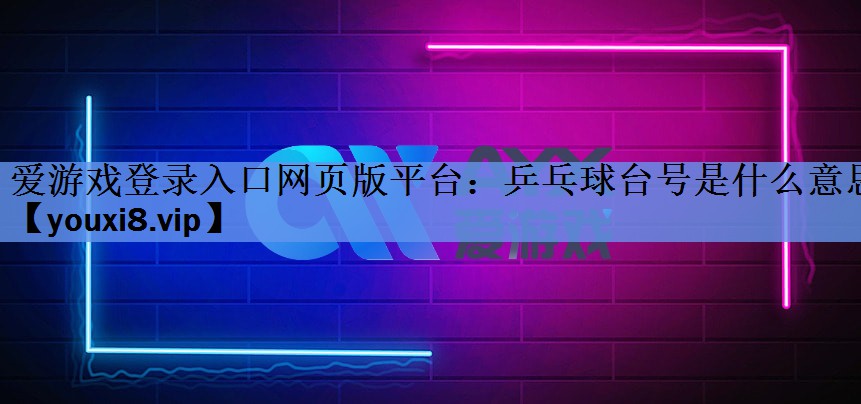 乒乓球台号是什么意思