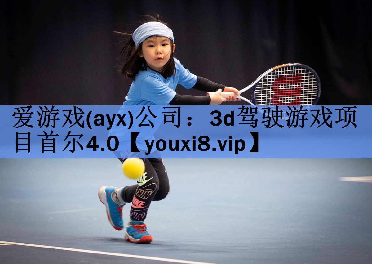 爱游戏(ayx)公司：3d驾驶游戏项目首尔4.0
